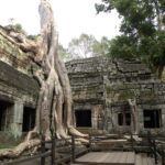 6. Ta Prohm Temple