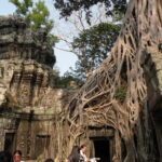 7. Ta Prohm Temple