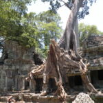 5. Świątynia Ta Phrom